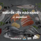 Hạt cho mèo Nutrience Subzero