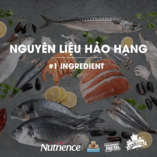 Hạt cho mèo Nutrience Subzero