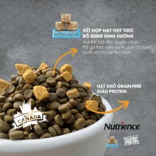 Hạt cho mèo Nutrience Subzero