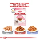 Pate Royal Canin Kitten gói dành cho mèo từ 2 tháng tuổi