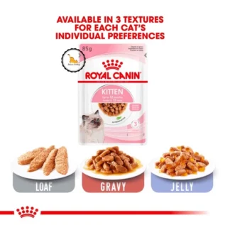 Pate Royal Canin Kitten gói dành cho mèo từ 2 tháng tuổi