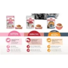 Pate Royal Canin Kitten gói dành cho mèo từ 2 tháng tuổi