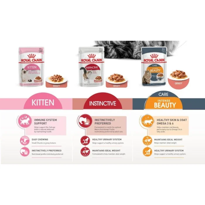 Pate Royal Canin Kitten gói dành cho mèo từ 2 tháng tuổi