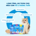 Pate cho mèo MrVet thức ăn ướt