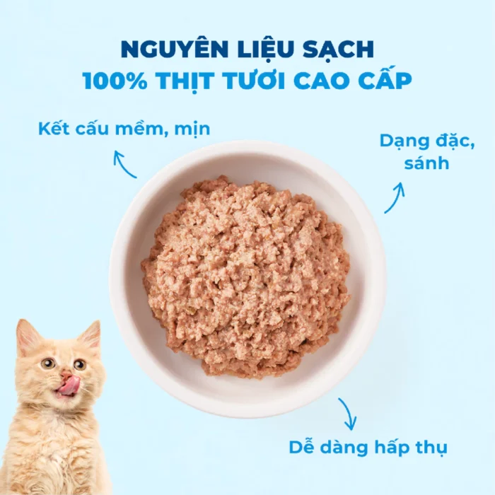 Pate cho mèo MrVet thức ăn ướt