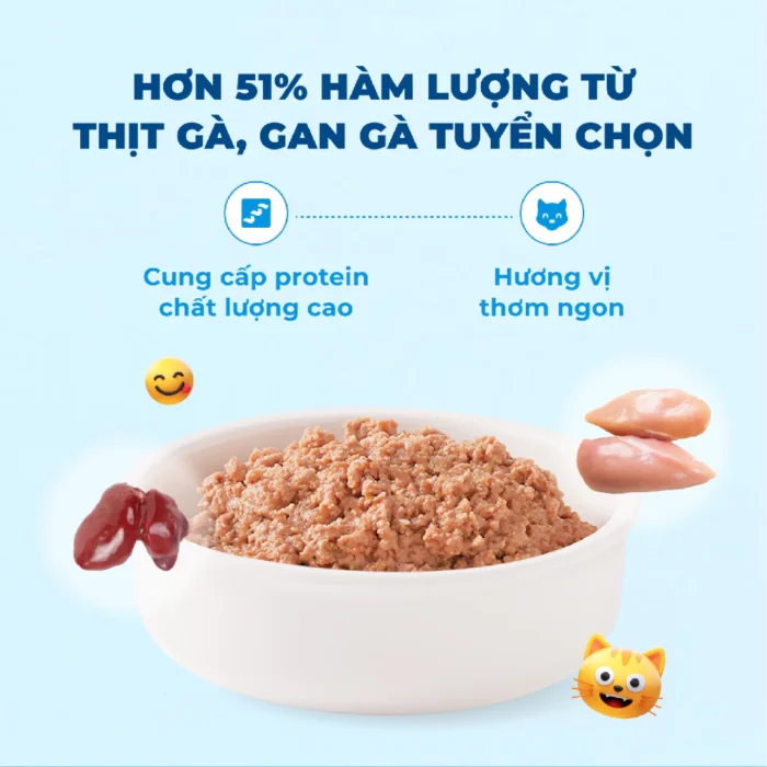 Pate cho mèo MrVet thức ăn ướt