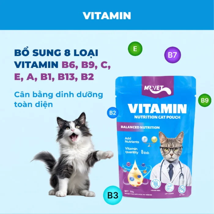 Pate cho mèo MrVet thức ăn ướt