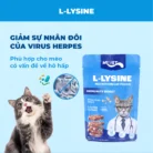 Pate cho mèo MrVet thức ăn ướt