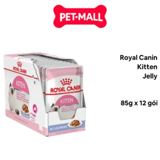 Pate mèo Royal Canin Kitten Jelly Petmall