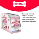 Pate mèo Royal Canin Kitten Jelly Petmall