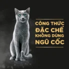Sheba pate cho mèo sành ăn