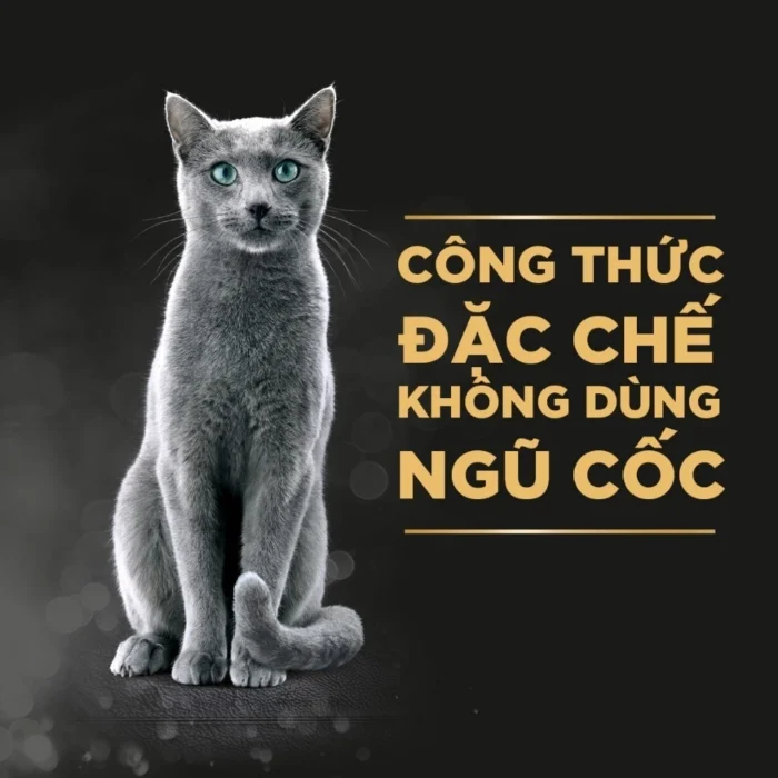 Sheba pate cho mèo sành ăn