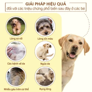 Sữa tắm chó MASTERCARE ngừa ve