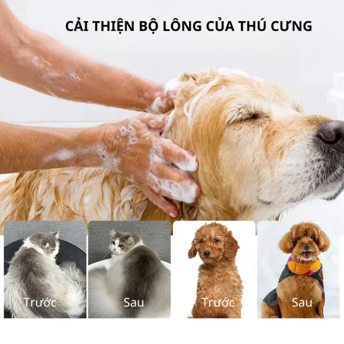 Sữa tắm chó Pet One yến mạch