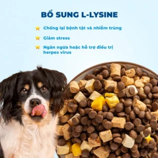 Thức ăn hạt cho chó MRVET thịt cừu non