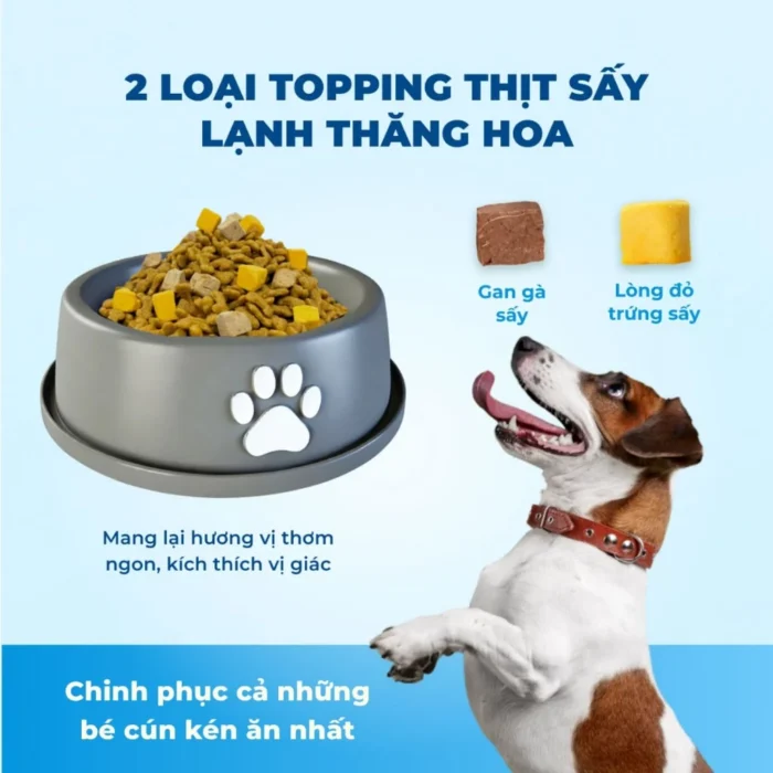 Thức ăn hạt cho chó MRVET thịt cừu non