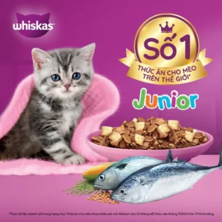 Thức ăn hạt cho mèo con Whiskas từ 2 tháng tuổi