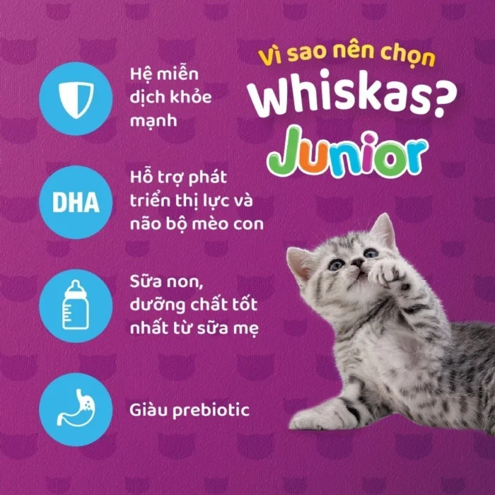 Thức ăn hạt cho mèo con Whiskas từ 2 tháng tuổi