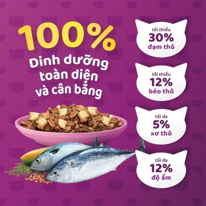 Thức ăn hạt cho mèo con Whiskas từ 2 tháng tuổi