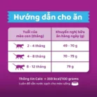 Thức ăn hạt cho mèo con Whiskas từ 2 tháng tuổi