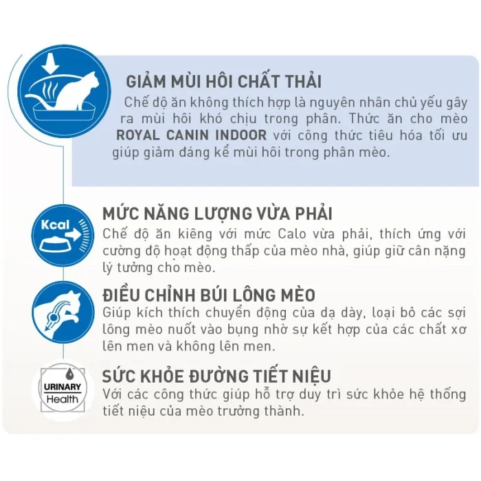 Thức ăn hạt cho mèo trưởng thành Royal Canin