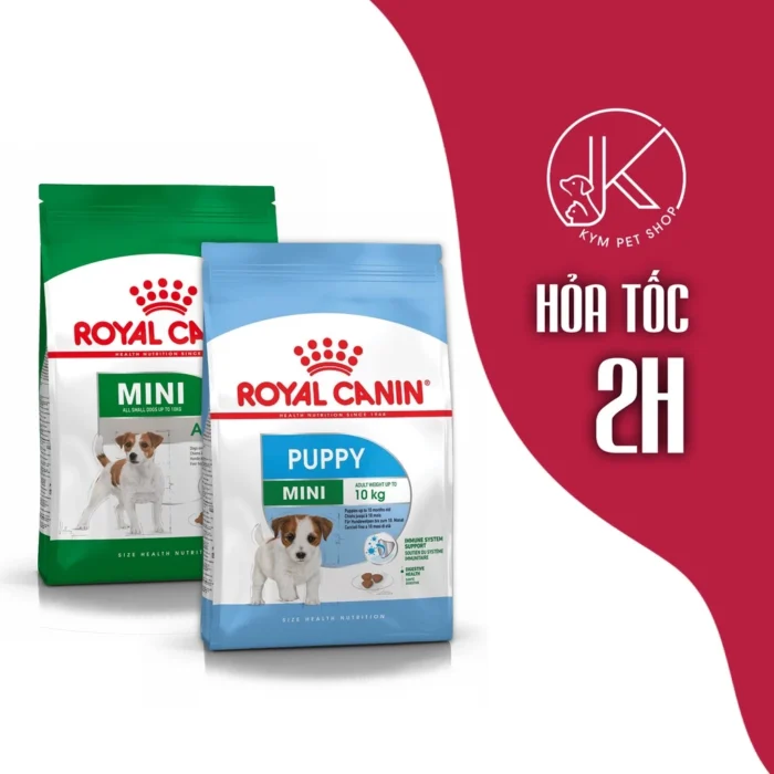 Thức ăn hạt khô cho chó con Royal Canin