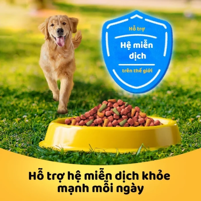 Thức ăn hạt khô cho chó lớn PEDIGREE vị bò và rau củ