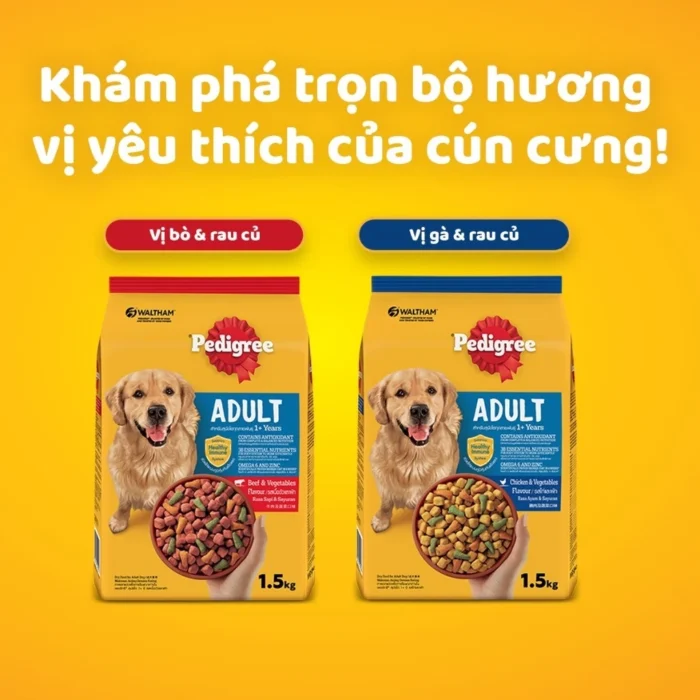 Thức ăn hạt khô cho chó lớn PEDIGREE vị bò và rau củ