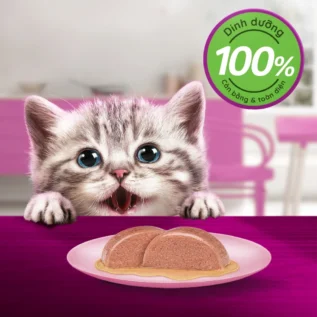 Thùng thức ăn cho mèo con dạng sốt pate WHISKAS