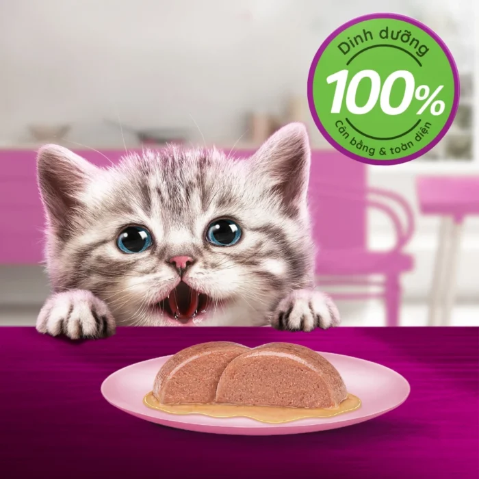 Thùng thức ăn cho mèo con dạng sốt pate WHISKAS