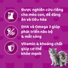 Thùng thức ăn cho mèo con dạng sốt pate WHISKAS