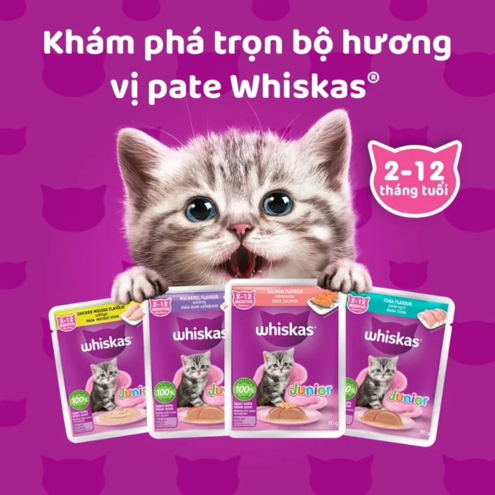 Thùng thức ăn cho mèo con dạng sốt pate WHISKAS