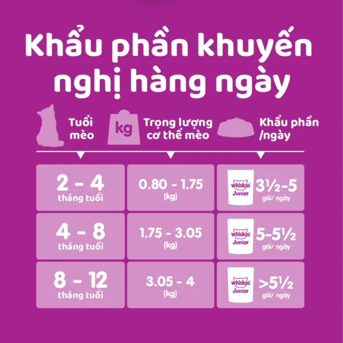 Thùng thức ăn cho mèo con dạng sốt pate WHISKAS