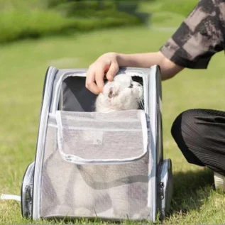 Túi đựng mèo cửa sổ phía trước SPDD